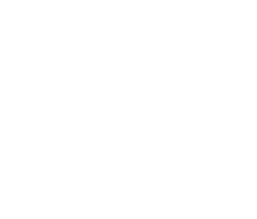 PetsVet